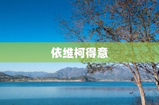 依维柯得意：打造商用车界的领军者