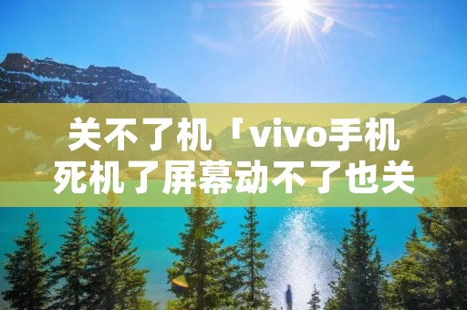 关不了机「vivo手机死机了屏幕动不了也关不了机」