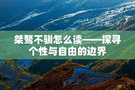 桀骜不驯怎么读——探寻个性与自由的边界