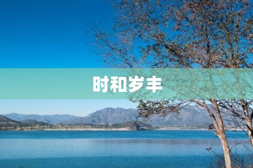 时和岁丰：致敬时间的恩赐