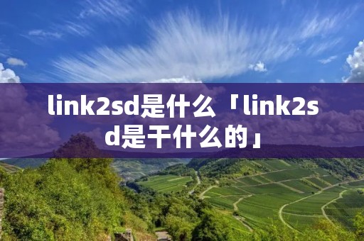 link2sd是什么「link2sd是干什么的」