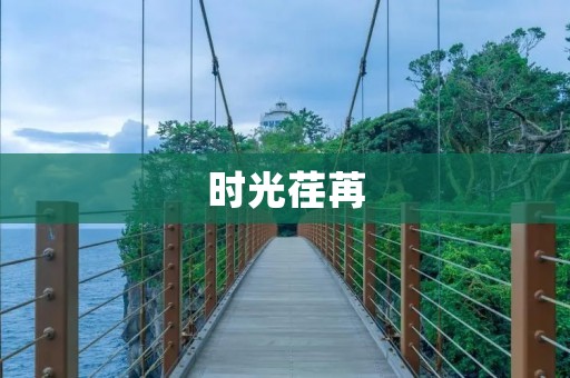 时光荏苒：回顾过去与展望未来