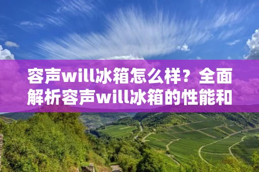 容声will冰箱怎么样？全面解析容声will冰箱的性能和特点