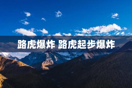 路虎爆炸 路虎起步爆炸
