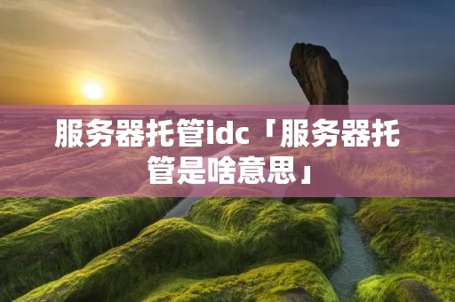 服务器托管idc「服务器托管是啥意思」