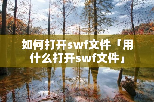 如何打开swf文件「用什么打开swf文件」