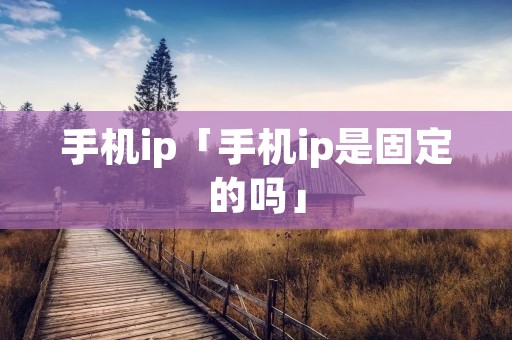手机ip「手机ip是固定的吗」