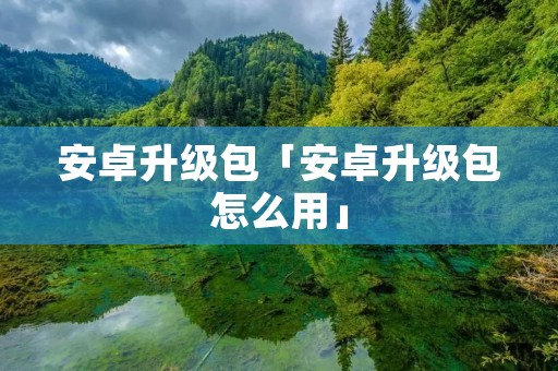 安卓升级包「安卓升级包怎么用」