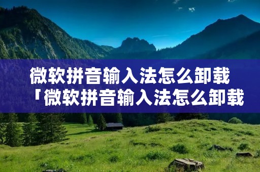 微软拼音输入法怎么卸载「微软拼音输入法怎么卸载掉」