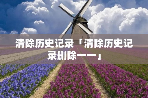 清除历史记录「清除历史记录删除一一」
