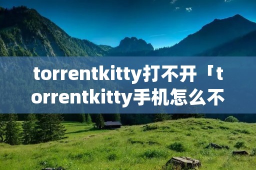 torrentkitty打不开「torrentkitty手机怎么不能用了」 torrentkitty打不开「torrentkitty手机怎么不能用了」