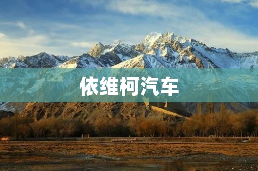 依维柯汽车:高性能与卓越品质的完美结合 依维柯汽车:高性能与卓越品质的完美结合