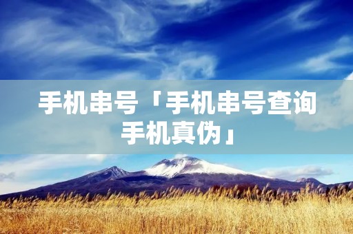 手机串号「手机串号查询手机真伪」