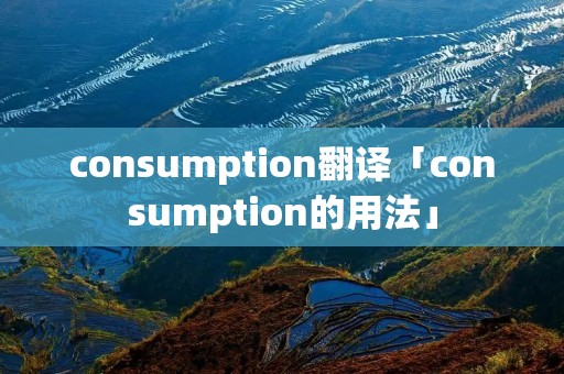 consumption翻译「consumption的用法」