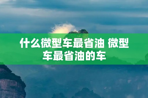 什么微型车最省油 微型车最省油的车