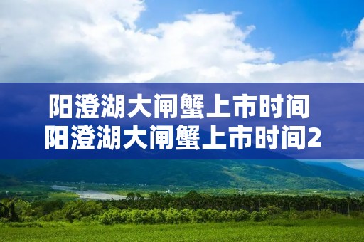 阳澄湖大闸蟹上市时间 阳澄湖大闸蟹上市时间2022几月