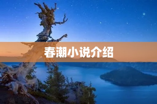 春潮小说介绍