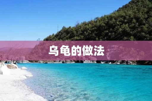 乌龟的做法:美味佳肴引领养生潮流 乌龟的做法:美味佳肴引领养生潮流