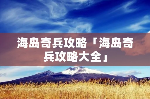 海岛奇兵攻略「海岛奇兵攻略大全」