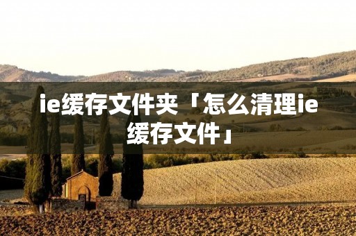 ie缓存文件夹「怎么清理ie缓存文件」 ie缓存文件夹「怎么清理ie缓存文件」
