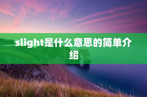 slight是什么意思的简单介绍