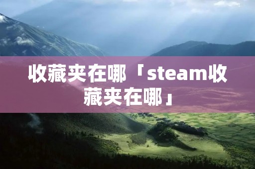 收藏夹在哪「steam收藏夹在哪」