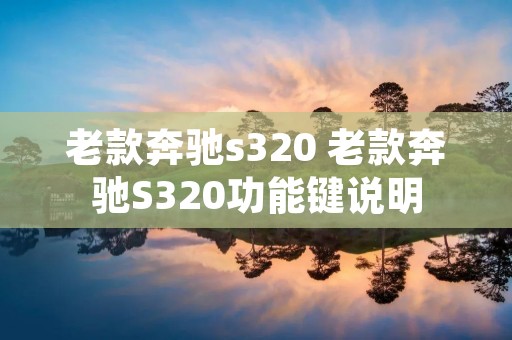老款奔驰s320 老款奔驰S320功能键说明