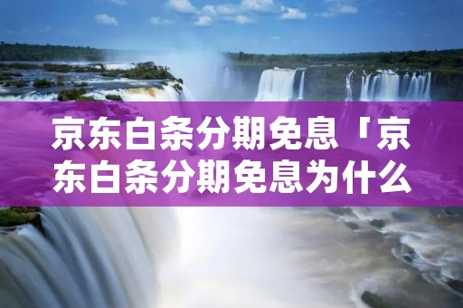 京东白条分期免息「京东白条分期免息为什么比原价高」 京东白条分期免息「京东白条分期免息为什么比原价高」