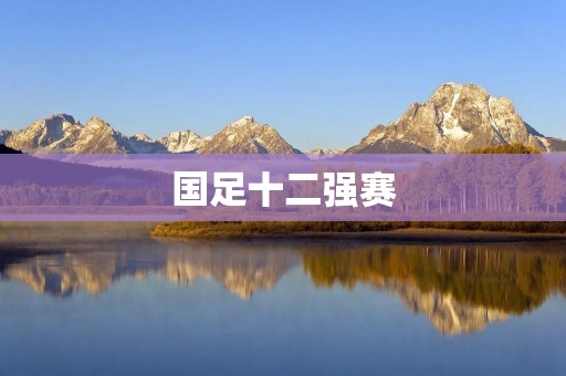 国足十二强赛:实力与机遇的交织 国足十二强赛:实力与机遇的交织
