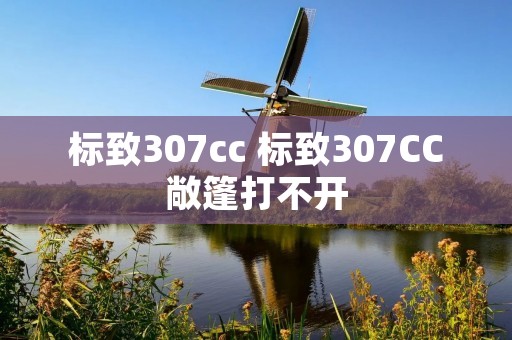 标致307cc 标致307CC敞篷打不开