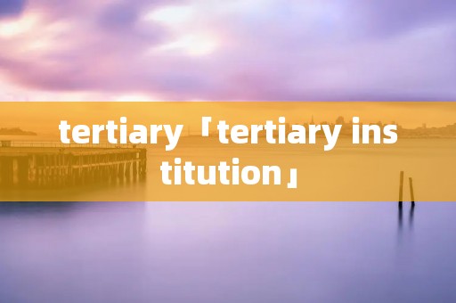 tertiary「tertiary institution」