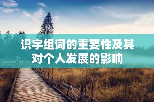 识字组词的重要性及其对个人发展的影响