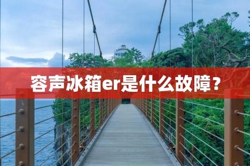 容声冰箱er是什么故障？
