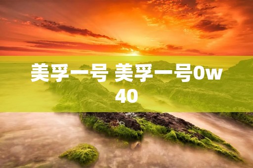 美孚一号 美孚一号0w40