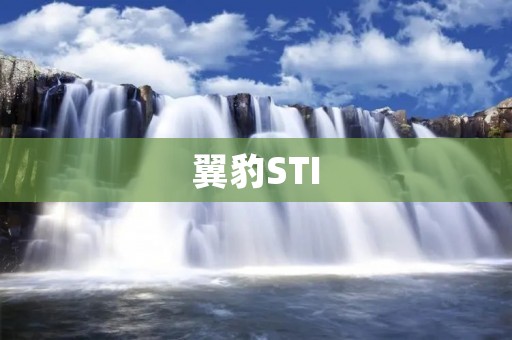 翼豹STI:飞驰在极速与**之间 翼豹STI:飞驰在极速与**之间