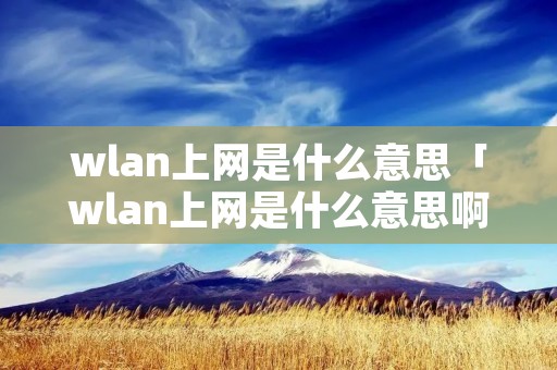 wlan上网是什么意思「wlan上网是什么意思啊」
