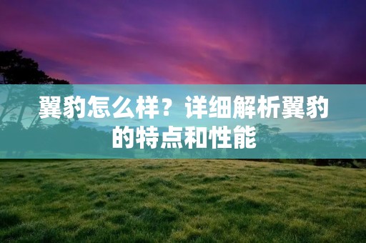 翼豹怎么样?详细解析翼豹的特点和性能 翼豹怎么样?详细解析翼豹的特点和性能