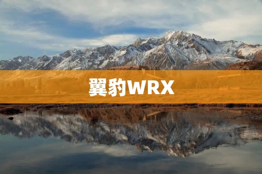 翼豹WRX:探秘速度与**的极致之选 翼豹WRX:探秘速度与**的极致之选