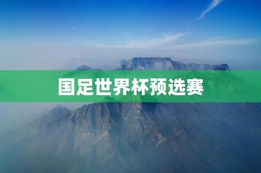 国足世界杯预选赛:挑战与机遇 国足世界杯预选赛:挑战与机遇