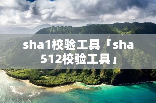sha1校验工具「sha512校验工具」