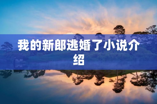 我的新郎逃婚了小说介绍