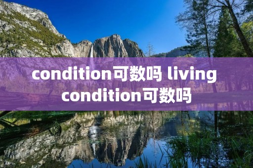condition可数吗 living condition可数吗