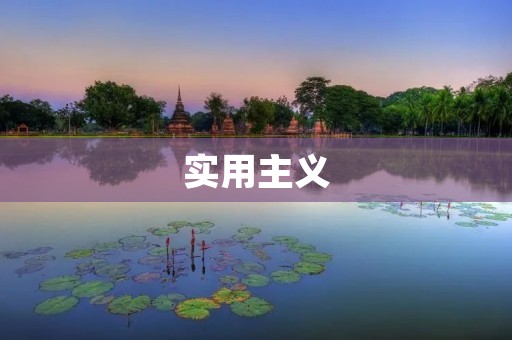 实用主义:让生活更简单、更高效!