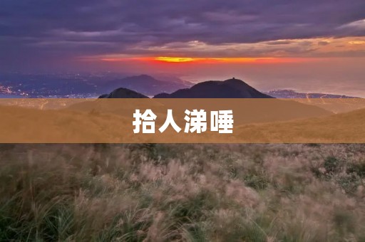拾人涕唾:揭开背后的故事