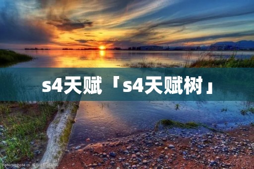 s4天赋「s4天赋树」