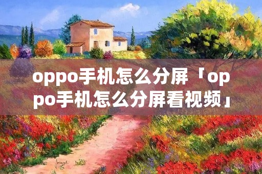 oppo手机怎么分屏「oppo手机怎么分屏看视频」