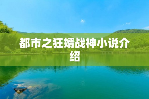 都市之狂婿战神小说介绍