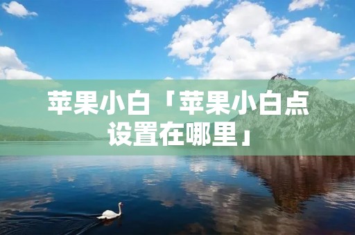 苹果小白「苹果小白点设置在哪里」