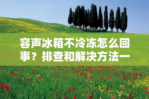 容声冰箱不冷冻怎么回事？排查和解决方法一览