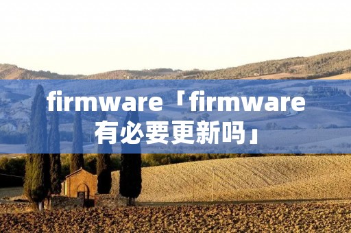 firmware「firmware有必要更新吗」